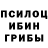 Псилоцибиновые грибы GOLDEN TEACHER Nightingale,Der ganze