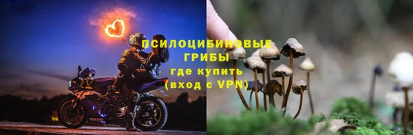 амф Алзамай