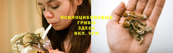 амф Алзамай
